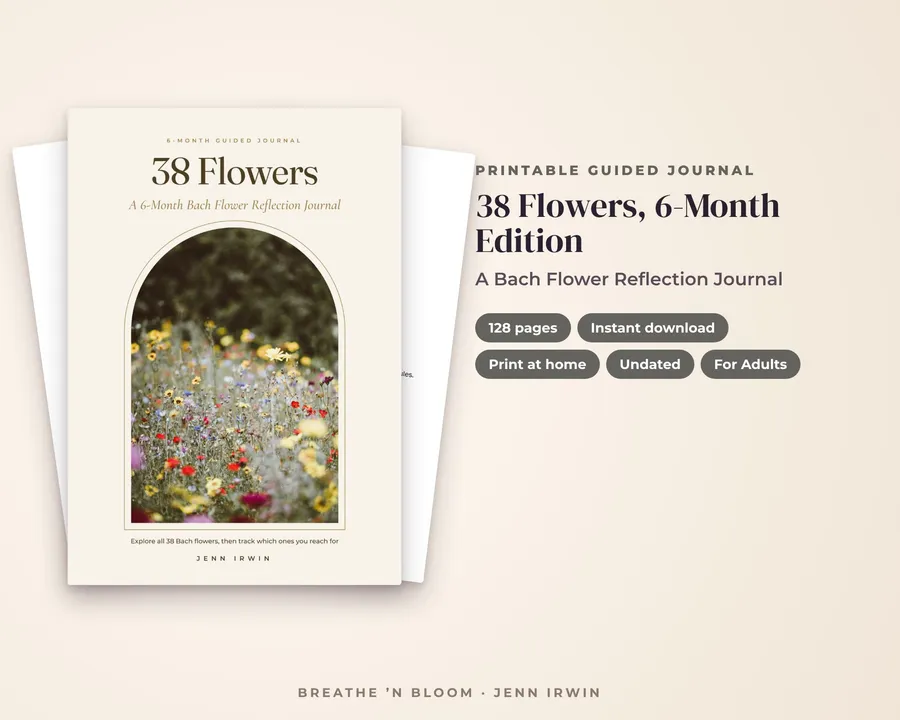 38 Flowers, 6-Month Edition journal cover